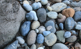 샌프란시스코의 돌 썸네일 사진